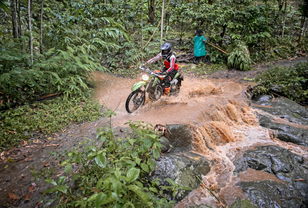 Coffee Plantation Java