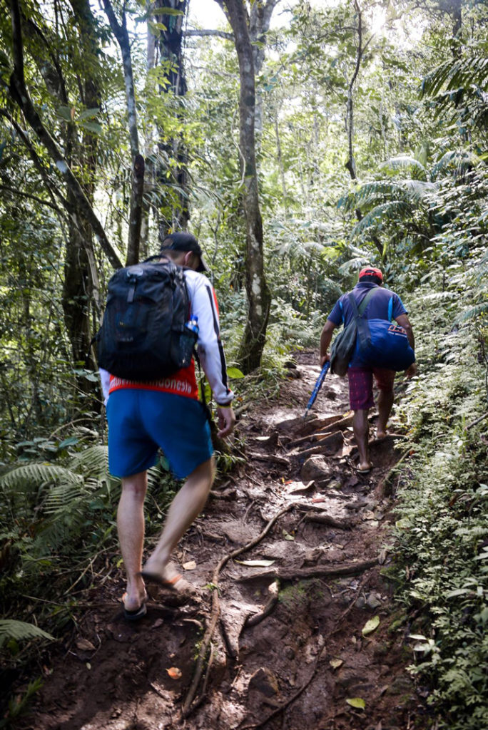 Rainforest trekking in Flores & Komodo