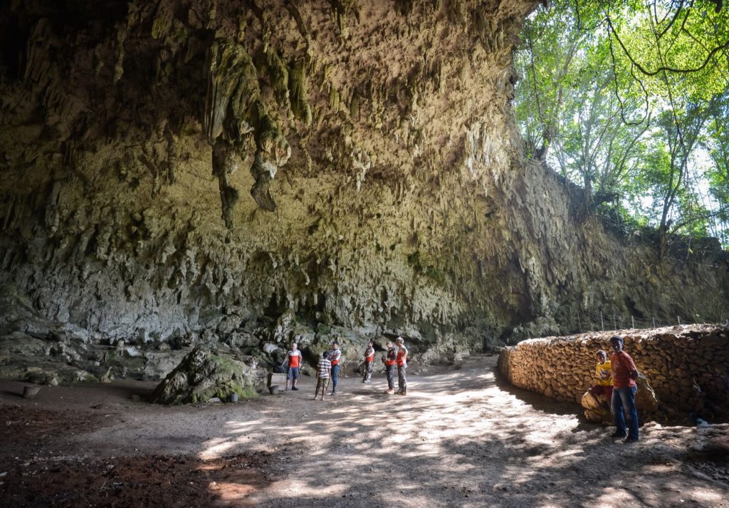 Homo Floresiensis - The Flores Hobbit