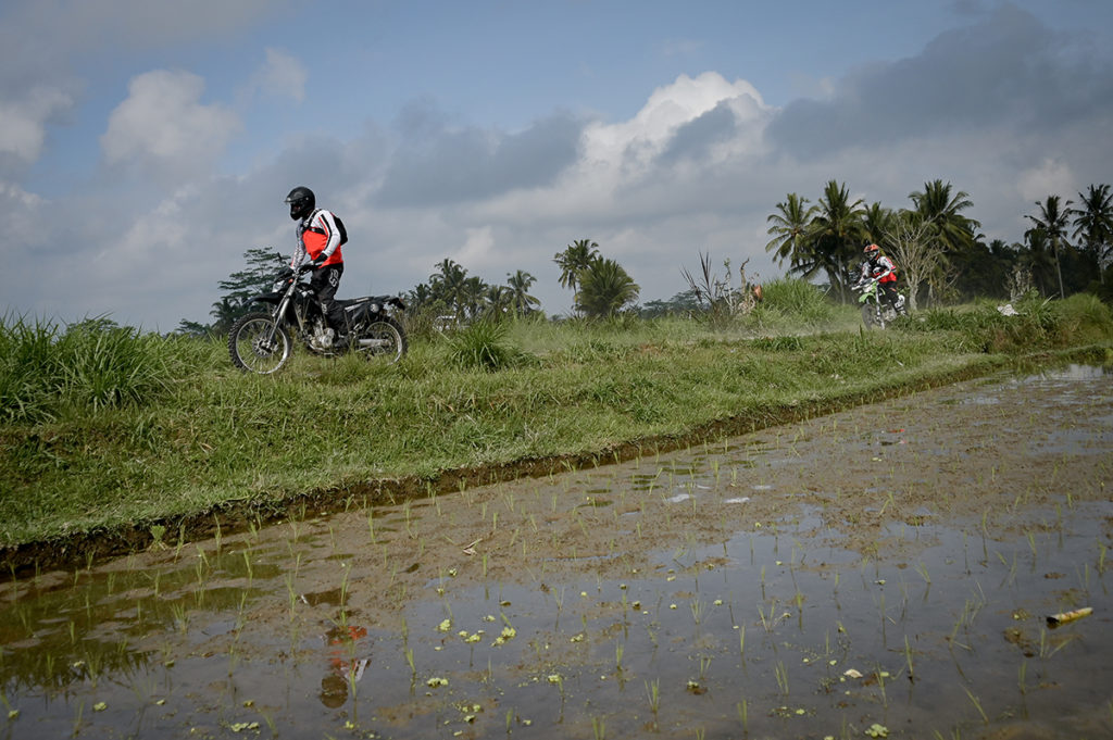 Tegalalang Rice Terraces