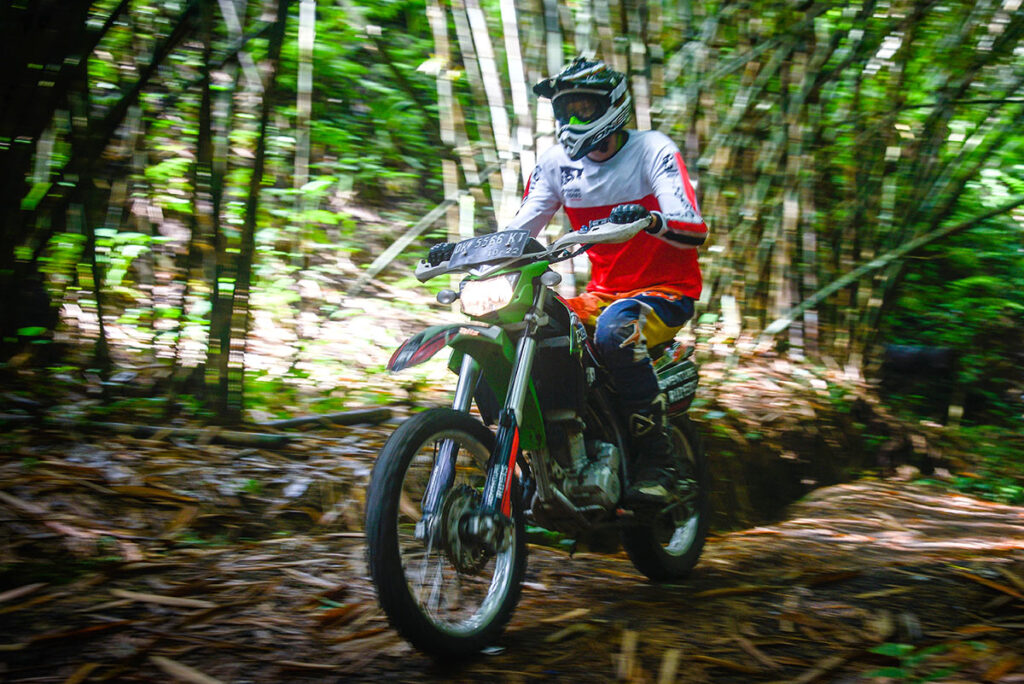 Adv Ride in Bali's Bamboo Forest